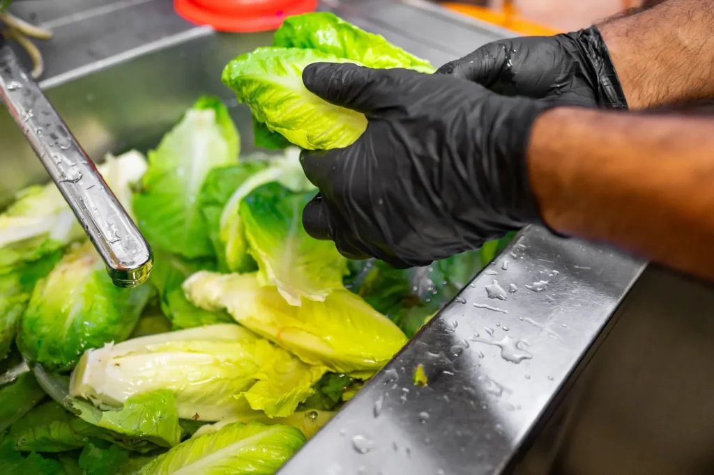 Washing romaine lettuce