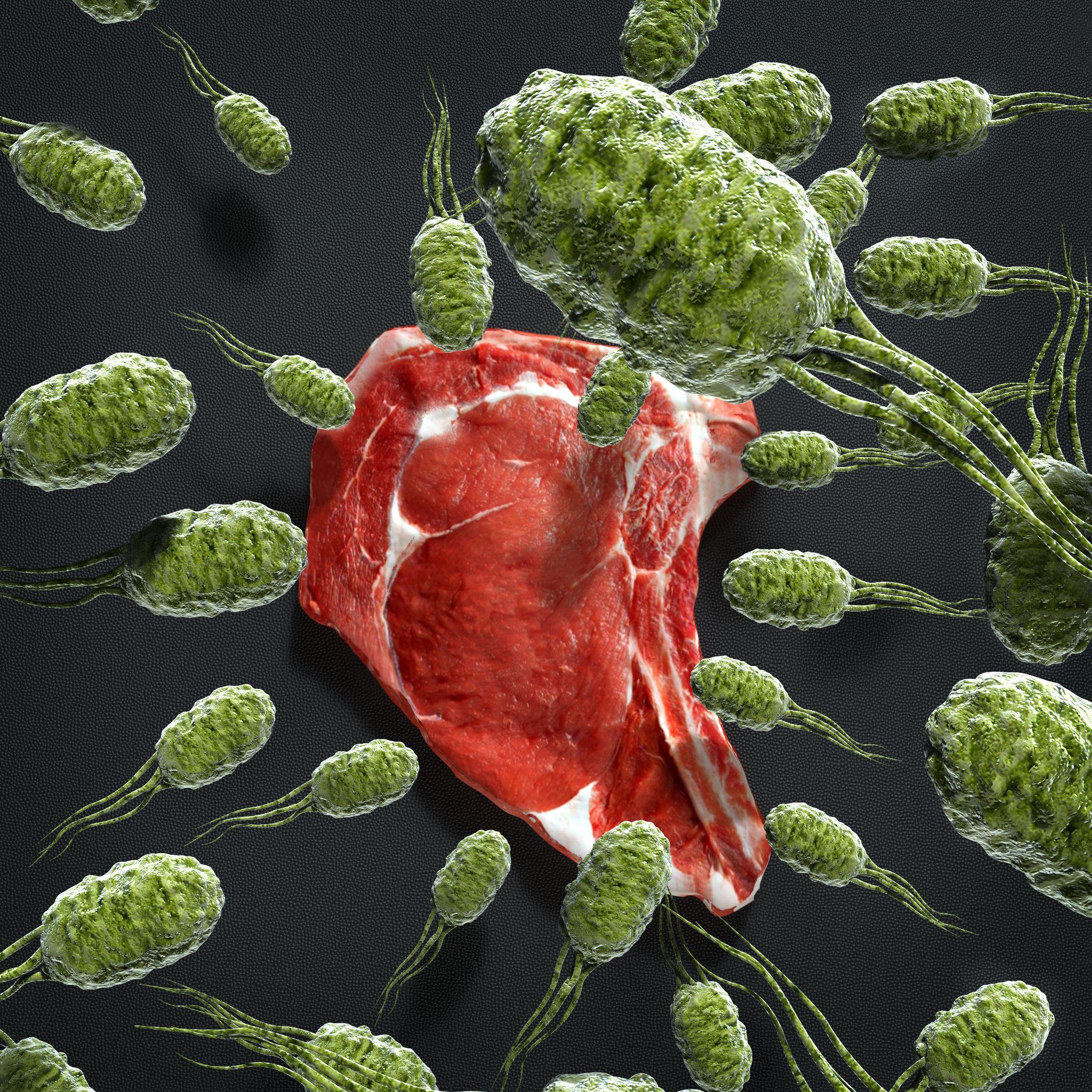 Meat steak invaded by Listeria Monocytogenes Bacteria