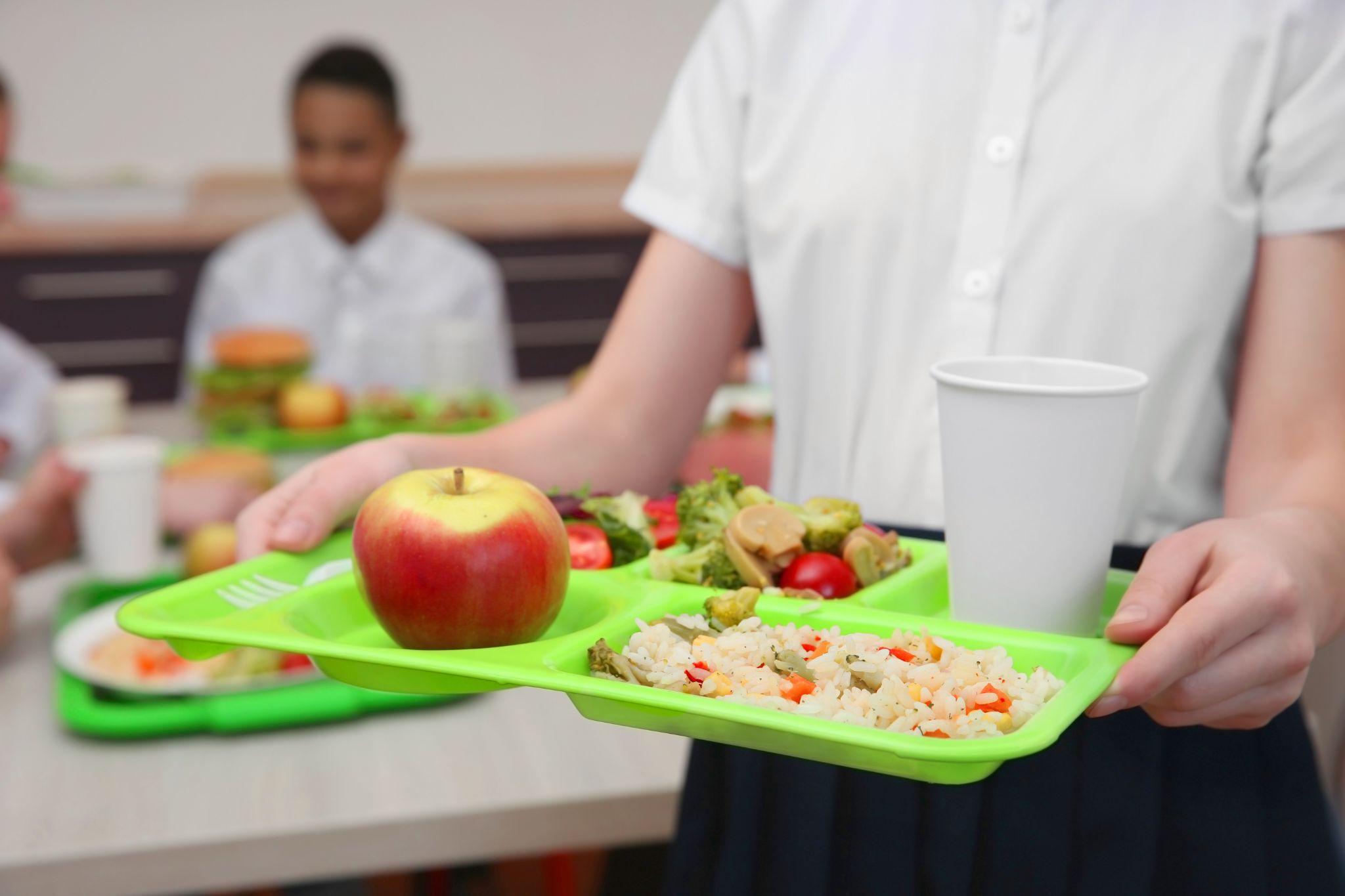 Student holding tray of cafeteria food.