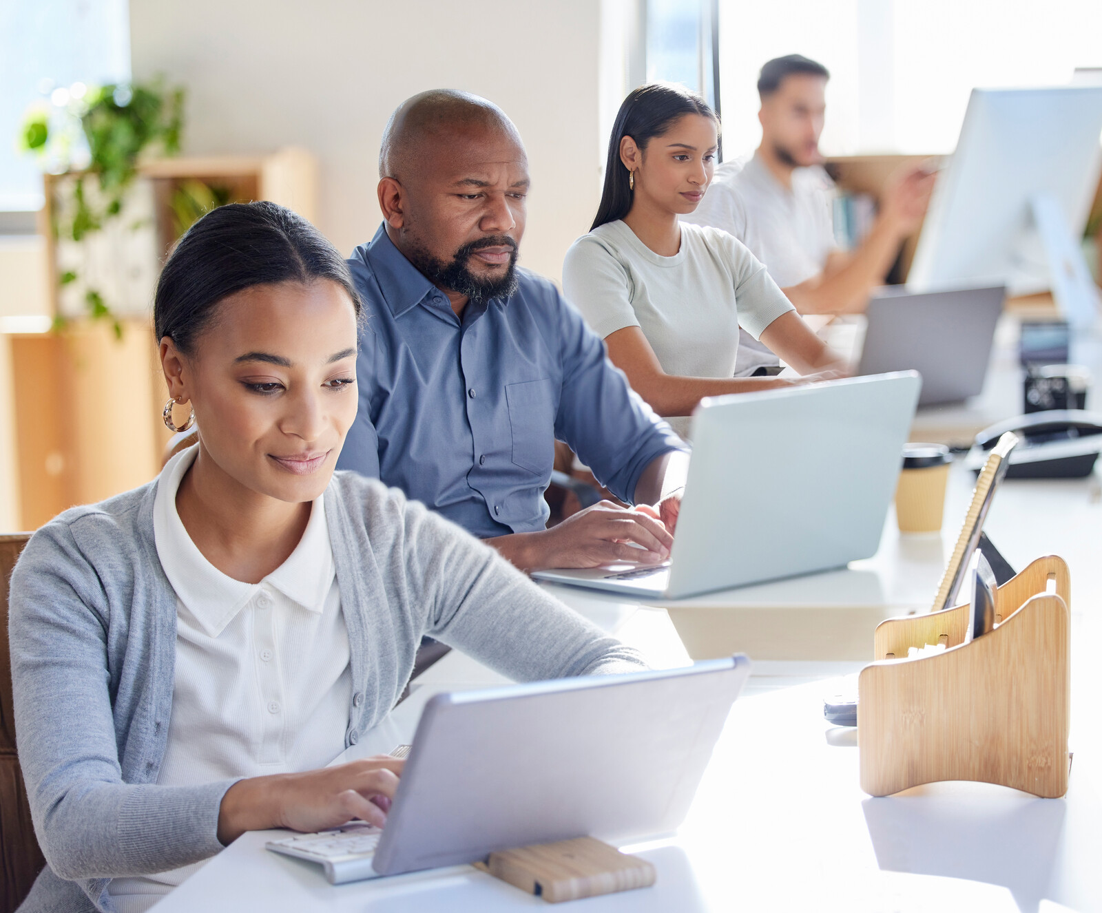 franchise maturity levels